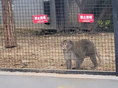 -武汉动物园