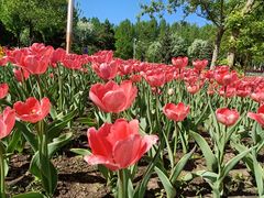 -长春公园(普阳街道)