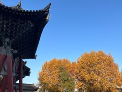-西安碑林博物馆
