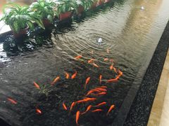 -天明山温泉大酒店