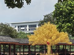 -广东圆玄道观