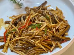 -丁老爷子苏香圆
