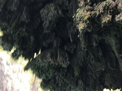 -阿依河景区