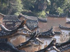 -杨家堂村