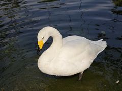 -海南热带野生动植物园