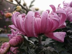 -共青国家森林公园-售票处