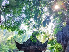 -深圳国际园林花卉博览园