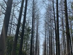 -上海怡沁园度假酒店
