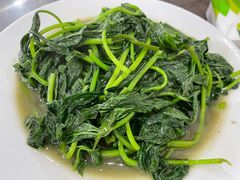 -力哥地道海南菜·联谊文昌鸡老店