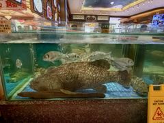 石斑-聚福宝合苑食府(南头镇店)