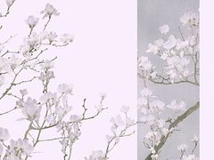 -护国寺小吃店(阜成门桥店)