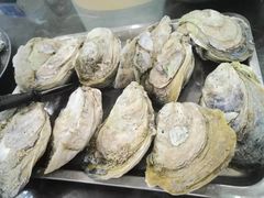 -蚝专家(北滘店)