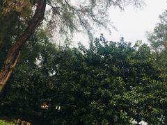 -广东外语外贸大学(白云山校区)