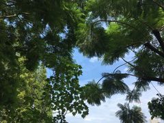 -成都南湖公园