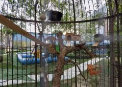 -萌宠亲子动物乐园(槐房万达店)