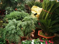 -保定市花鸟鱼虫市场