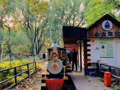 -上海共青森林公园