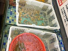 -莲花公园煎蟹(总店)