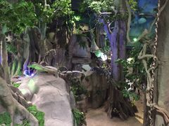 -福州罗源湾海洋世界旅游区