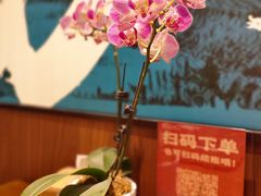 -小户人家(循礼门南国中心店)