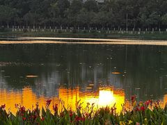 -南宁南湖公园