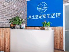 -芭比堂动物医院·24小时·眼科中心(深圳中心)