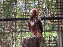 -费瑟代尔野生动物园