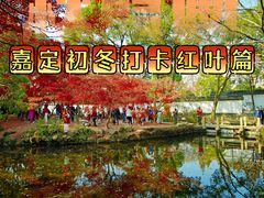 -秋霞圃