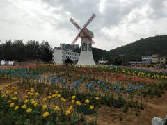 -玫瑰海岸文化旅游度假区