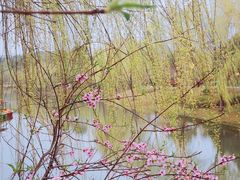 -桐乡植物园