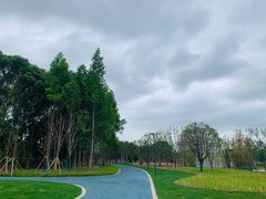 -昆山城市生态森林公园