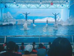 -秦皇岛乐岛海洋王国