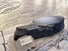 -白鹤梁水下博物馆