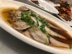 -苏启渔港(云南北路店)