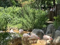 -昆明动物园