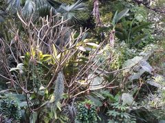 -麓湖高尔夫球俱乐部