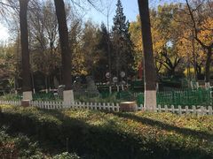 -双榆树公园