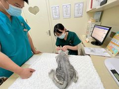 -瑞派康怡24h宠物医院·犬猫医疗中心·微创绝育(瑞景分院)