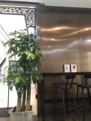 -崇尚GAVIN STYLE臻选