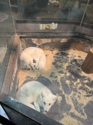 -未来动物城主题公园(正弘城店)