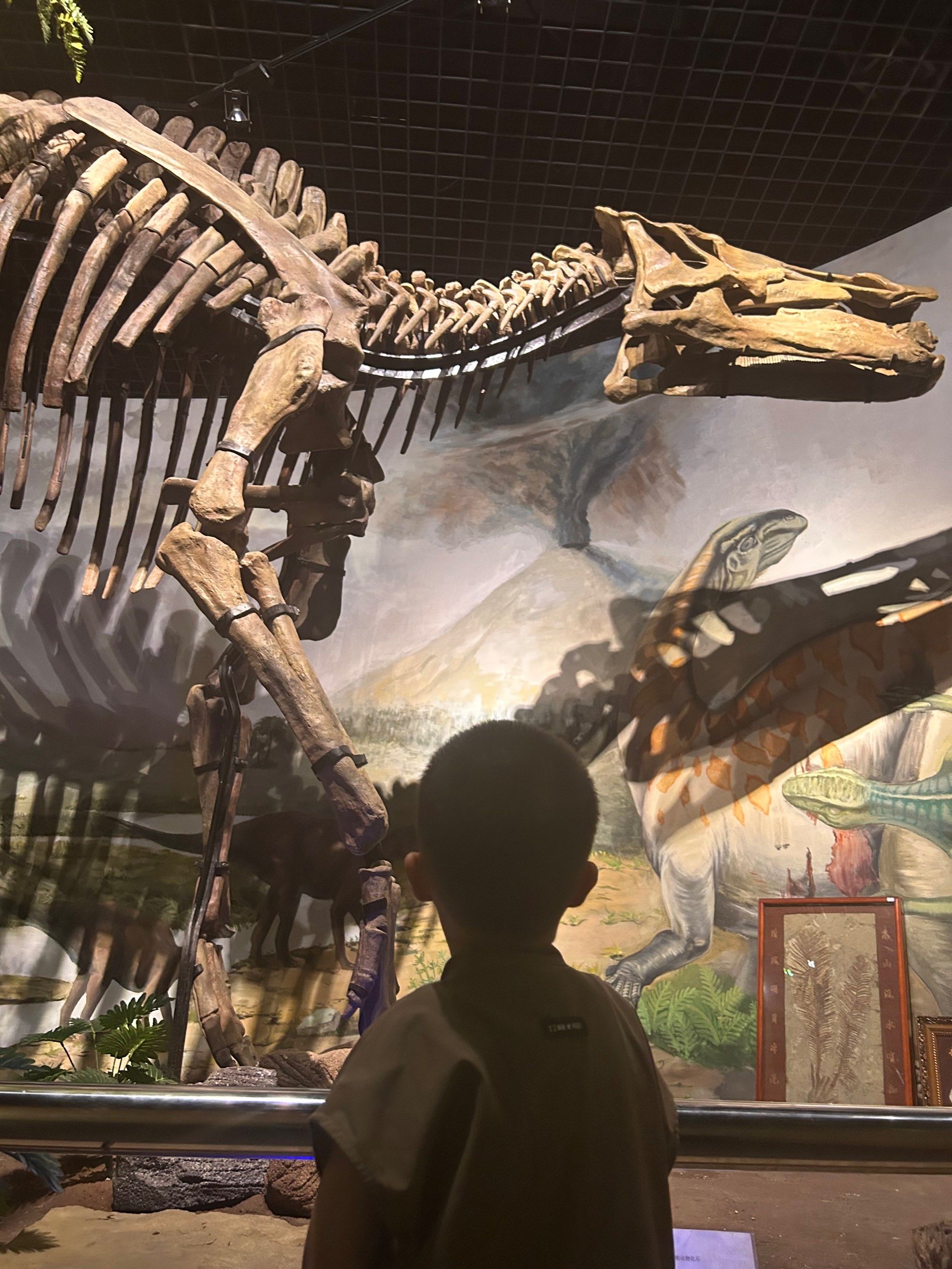 西北大学博物馆真的太宝藏了!