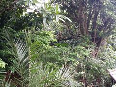 android_upload_pic-河川生态园