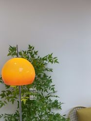 -变美丽半永久纹眉连锁·机器野生眉·洗眉