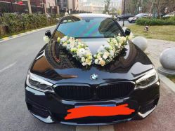 -蚂蚁婚车