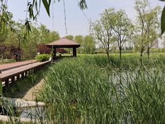 -永定河休闲森林公园