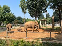 -石家庄市动物园