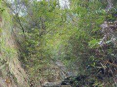 -青芝山风景名胜区