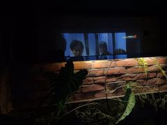 -观唐足道SPA养生会馆(南湖店)