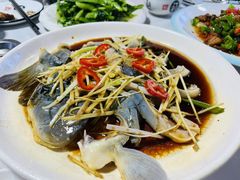 -煲来饱去冷水鱼