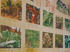 -东颖龙肥牛王(绵阳店)